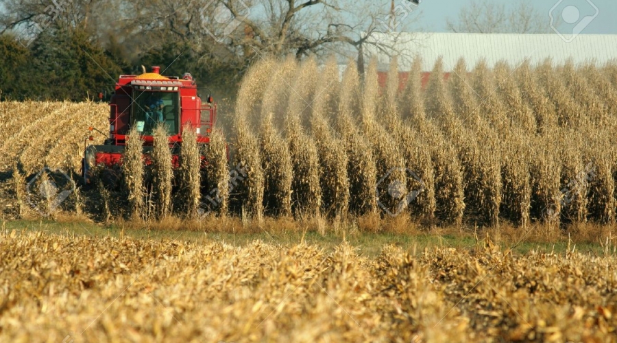Harvest